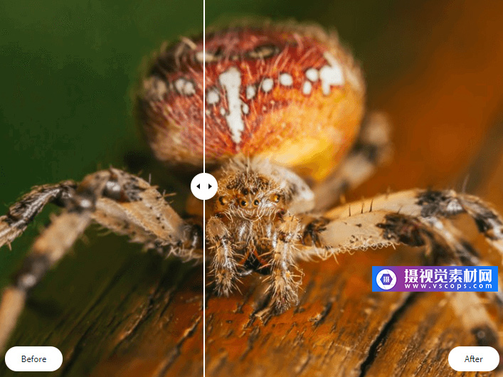 AI人工智能模糊照片变清晰软件-Topaz Sharpen AI 2.0.1插图
