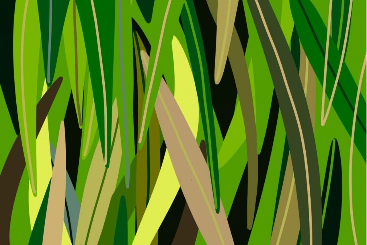 30种草绿色Procreate高级调色板插件插图2