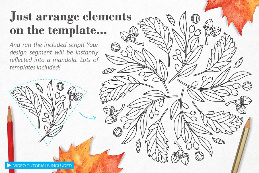 秋季图案生成illustrator插件 Autumn Harvest Mandala Creator插图1