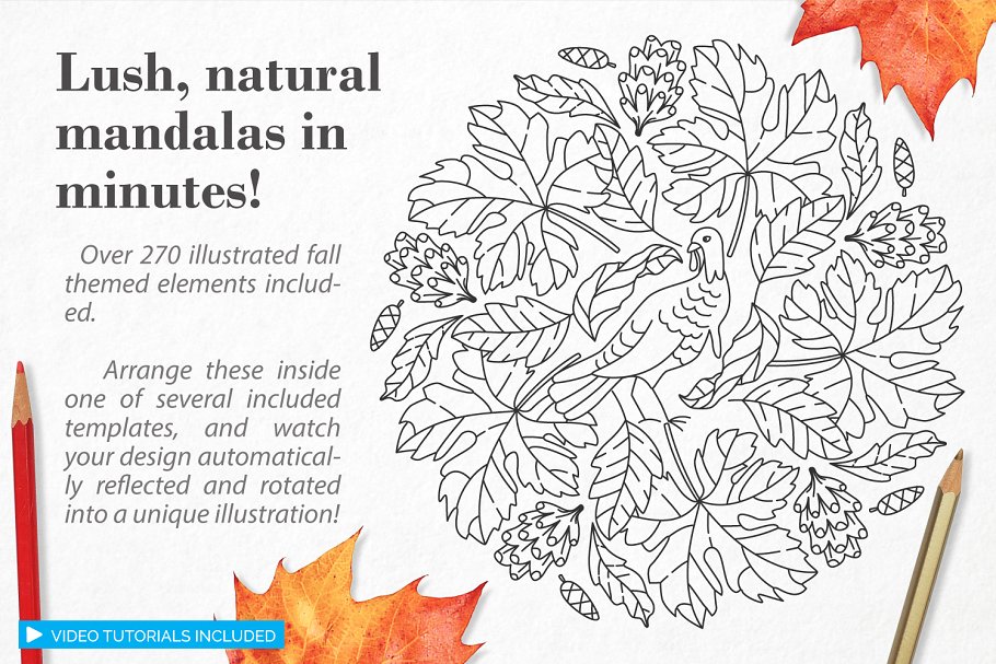 秋季图案生成illustrator插件 Autumn Harvest Mandala Creator插图4