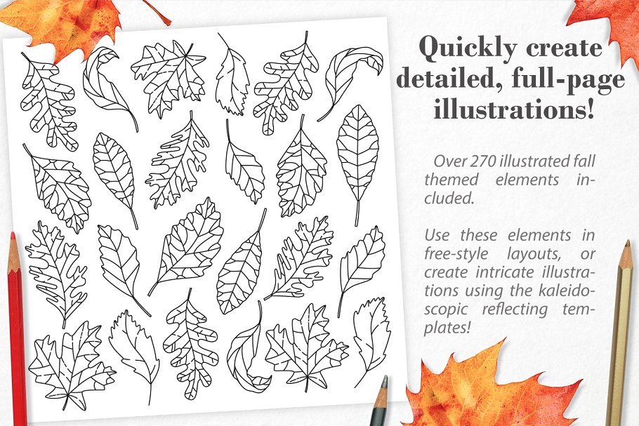 秋季图案生成illustrator插件 Autumn Harvest Mandala Creator插图9